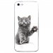 CRYSIPHONE5CCHATYEUXBLEU - Coque rigide transparente pour Apple iPhone 5C avec impression Motifs chat yeux bleus