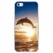 CRYSIPHONE5CDAUPHIN - Coque rigide transparente pour Apple iPhone 5C avec impression Motifs dauphin