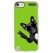 CRYSTOUCH5CHIENVVERT - Coque rigide transparente pour Apple iPod Touch 5 avec impression Motifs chien à lunettes sur fond
