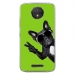TPU0MOTOCPLUSCHIENVVERT - Coque souple pour Motorola Moto C Plus avec impression Motifs chien à lunettes sur fond vert
