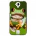 TPU1M320GRENOUILLE - Coque souple pour Acer Liquid M320 avec impression Motifs grenouille