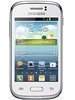 Accessoires pour Samsung Galaxy Young S6310